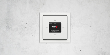Busch-Radio DAB+ bei Elektro Raab GmbH & Co. KG in Oberviechtach