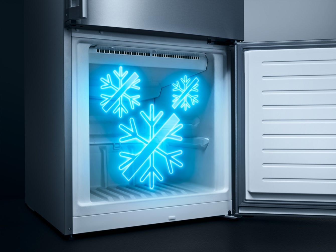 noFrost bei Elektro Raab GmbH & Co. KG in Oberviechtach