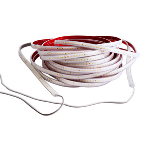 LED Stripes ab IP44 bei Elektro Raab GmbH & Co. KG in Oberviechtach